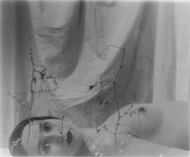 Photo by Cirenaica Moreira